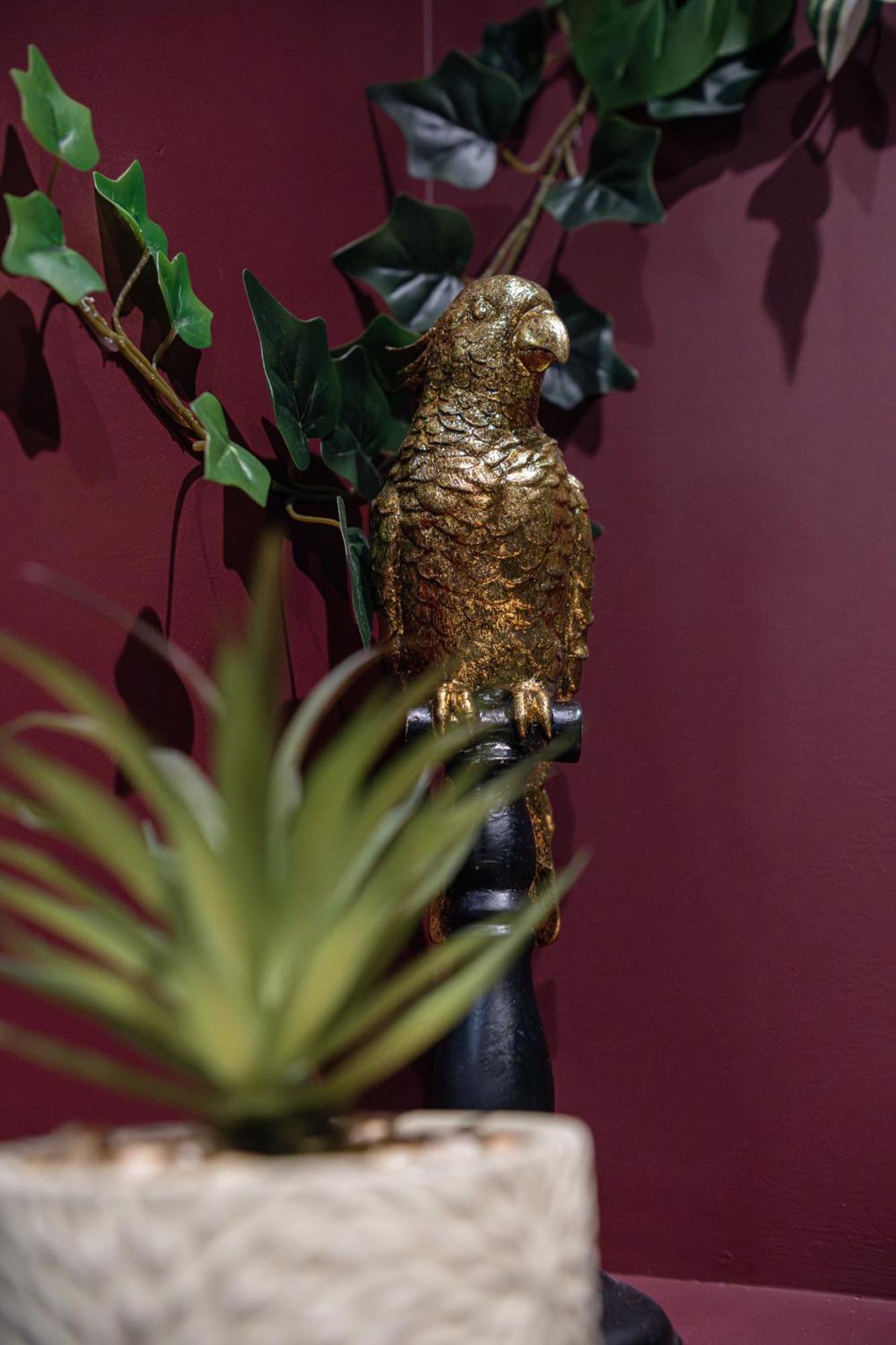 Secret Jungle - Love Room By Prim0 C0Nciergerie Royat Exterior foto